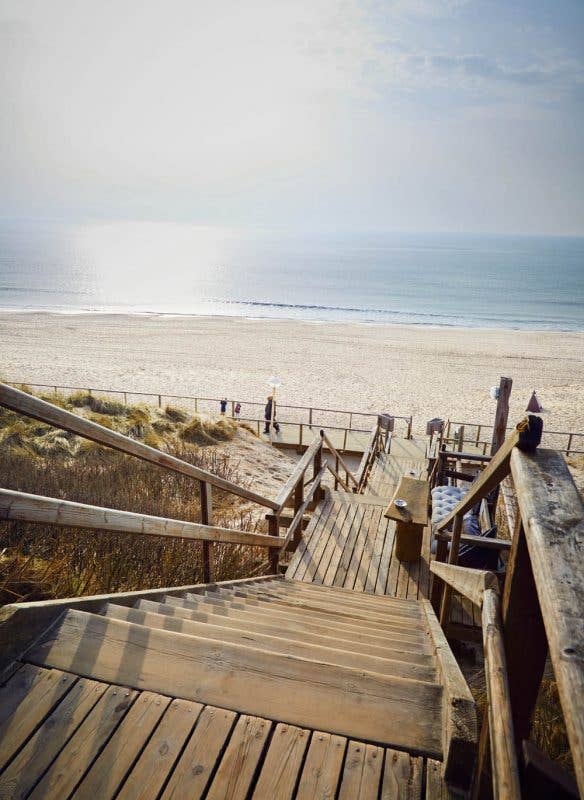 Zu Gast auf Sylt. Originalrezepte und Geheimtipps - GUNDT HOME