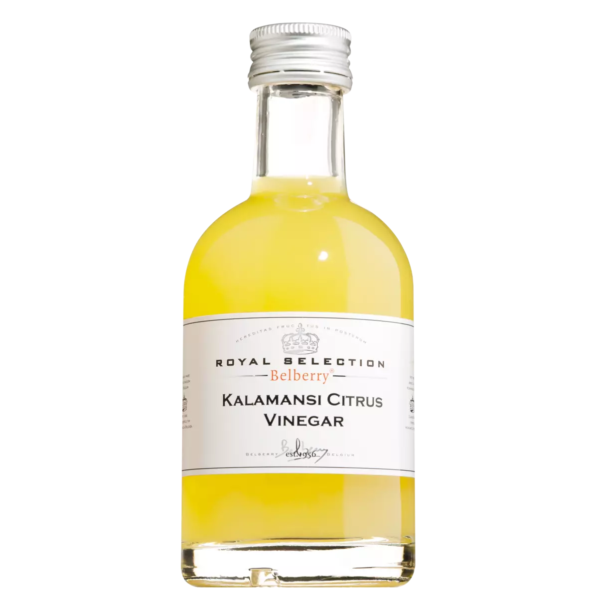 Kalamansi Citrus Vinegar - GUNDT HOME